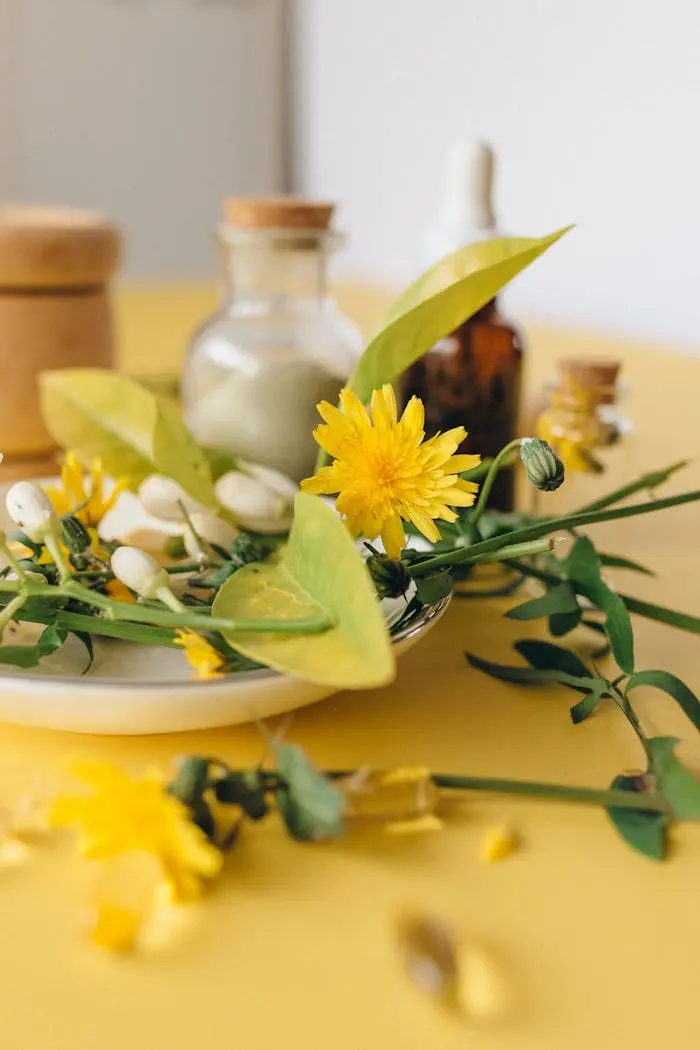 19.03.25 Seminar: Phytotherapie – Heilpflanzen wirksam anwenden